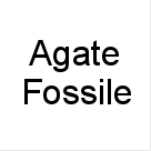 Agate+Fossile
